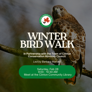Winter Bird Walk wit